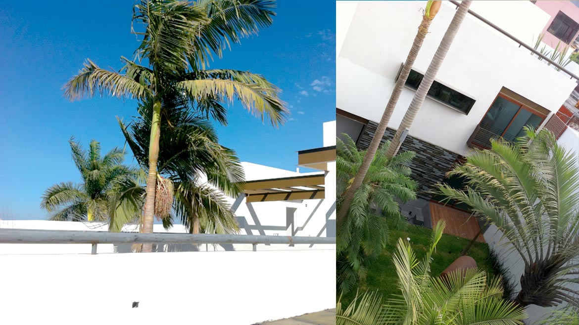 soluciones totales en edificación